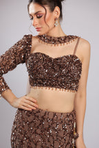 Brown Net Lehenga Choli