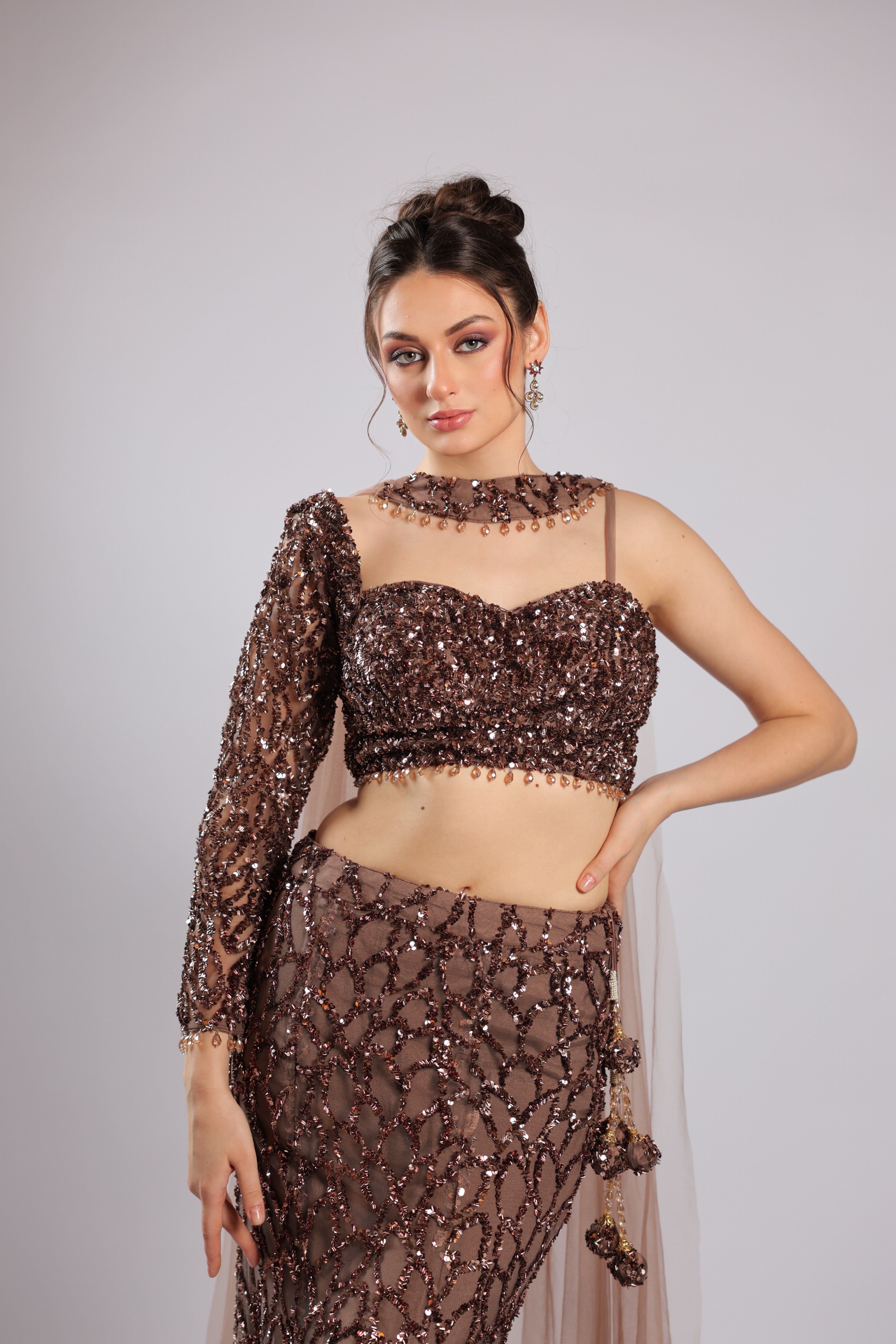 Brown Net Lehenga Choli