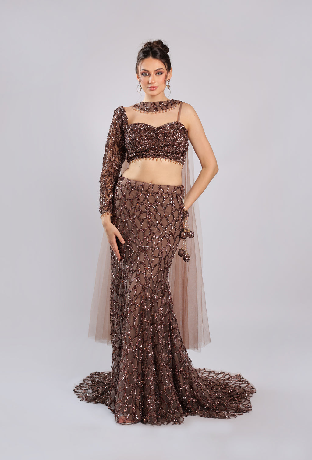Brown Net Lehenga Choli