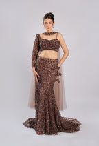 Brown Net Lehenga Choli
