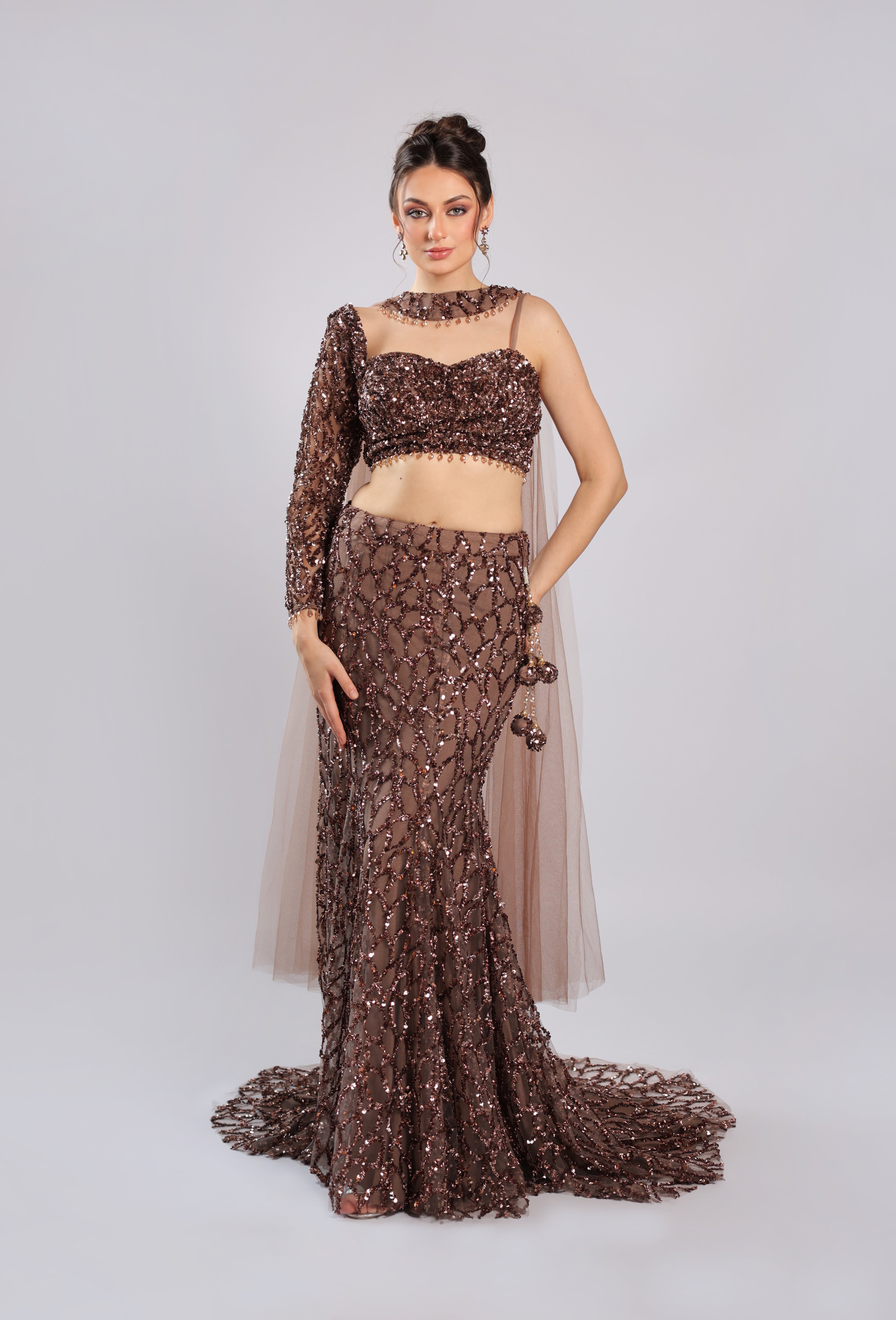 Brown Net Lehenga Choli