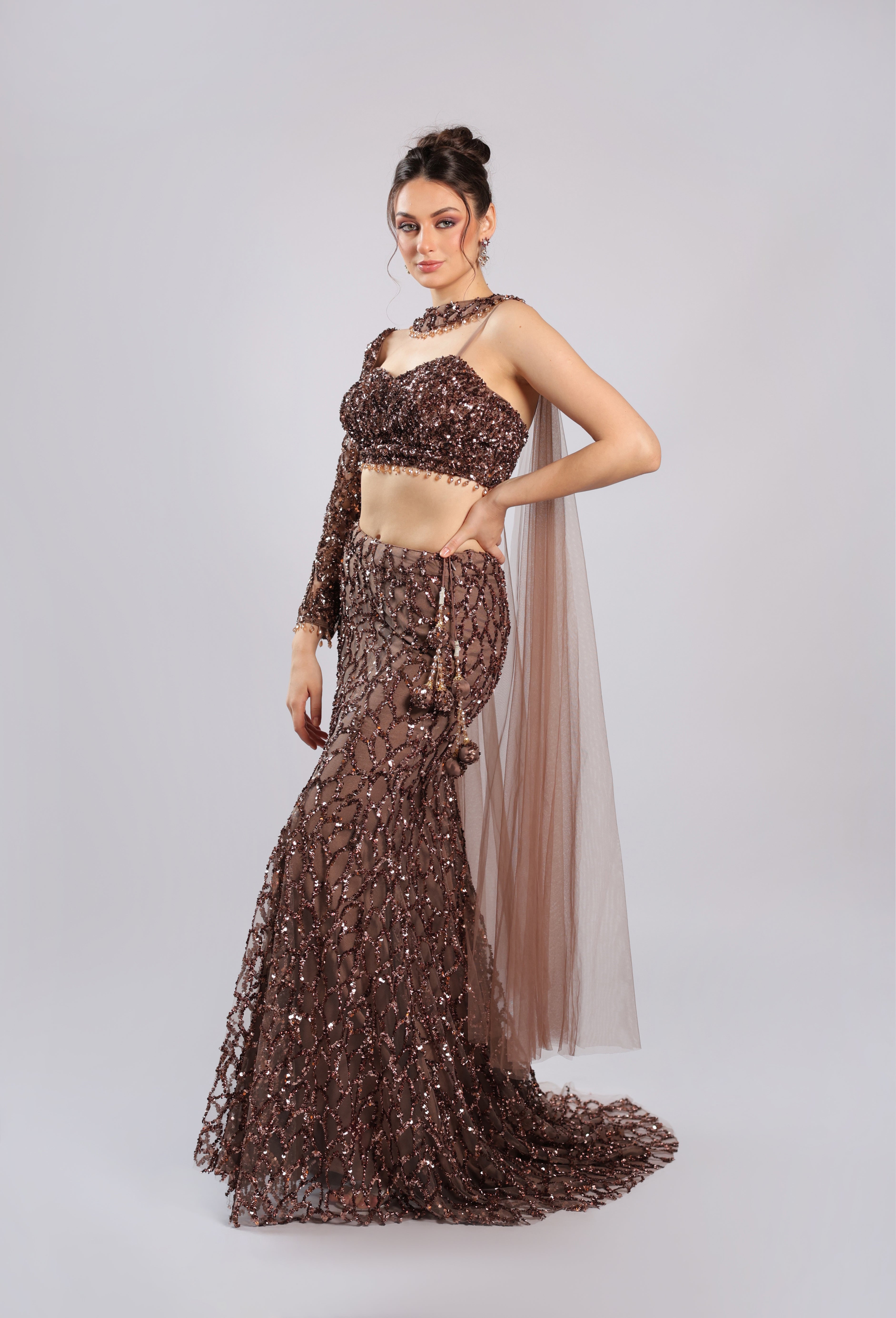 Brown Net Lehenga Choli