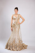 Gold Net Lehenga Choli
