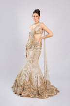 Gold Net Lehenga Choli