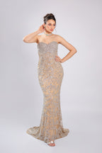 Cream Net Gown