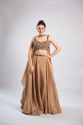 Gold Tissue Lehenga Choli
