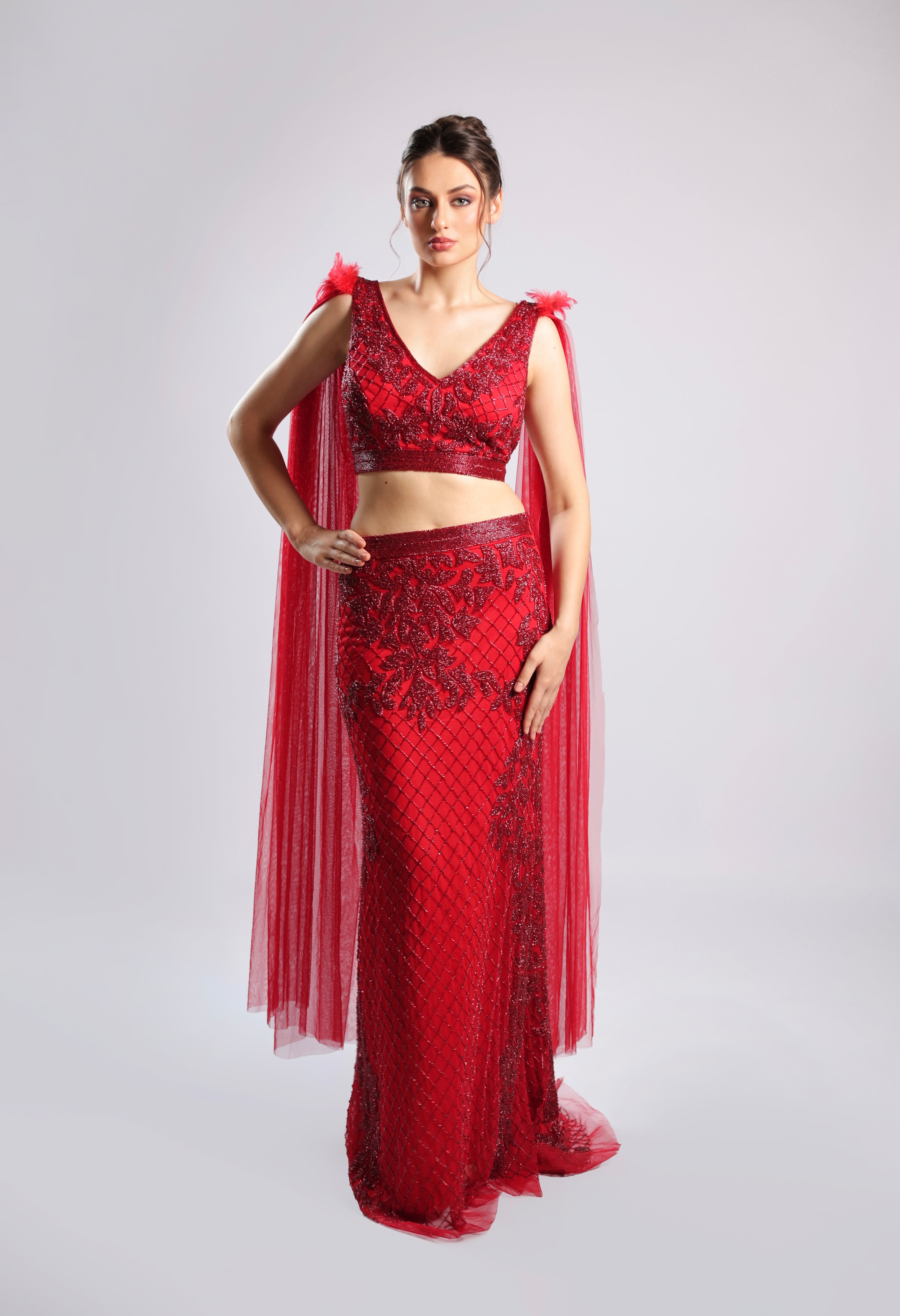 Red Net Lehenga Choli