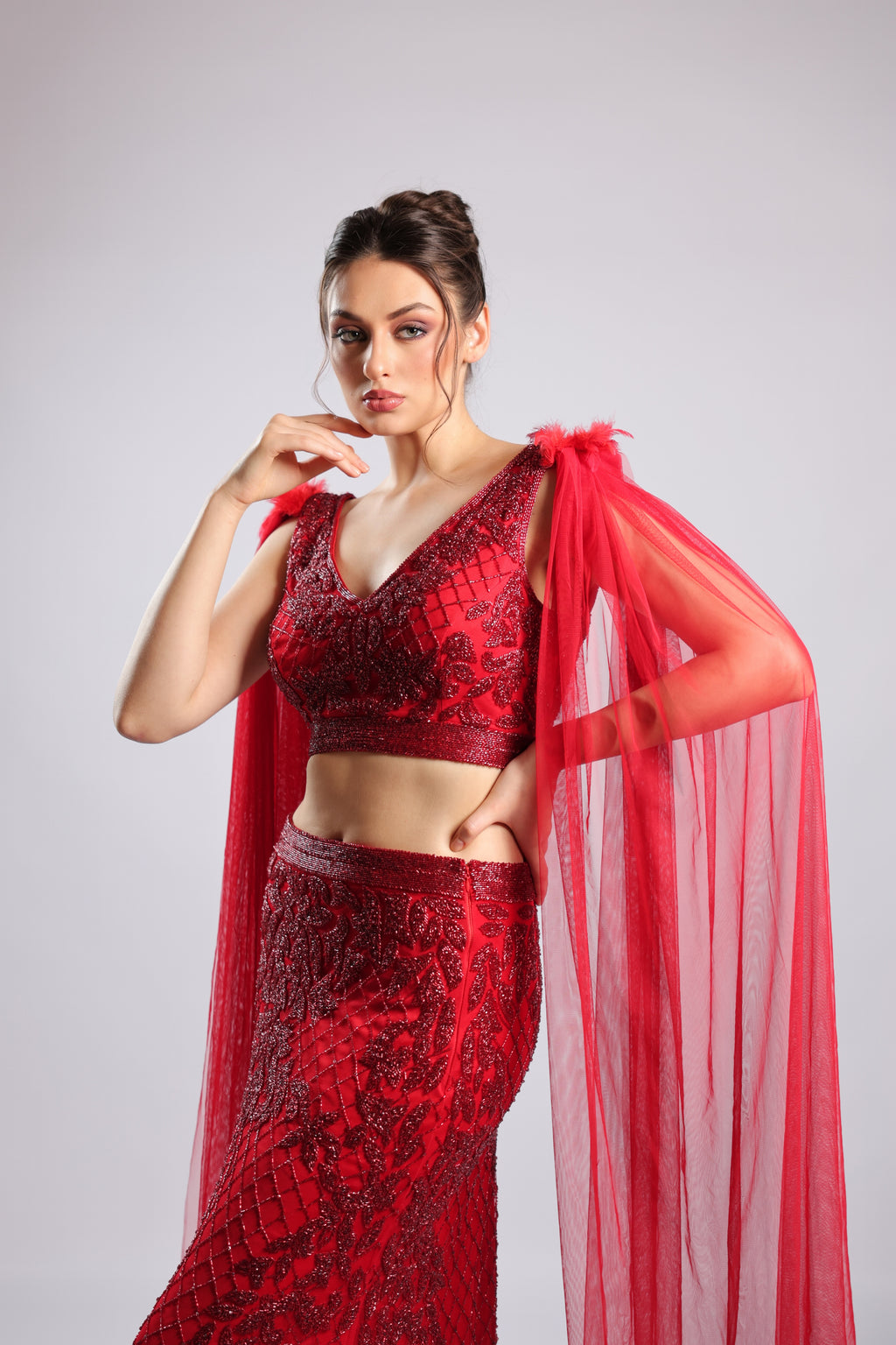 Red Net Lehenga Choli