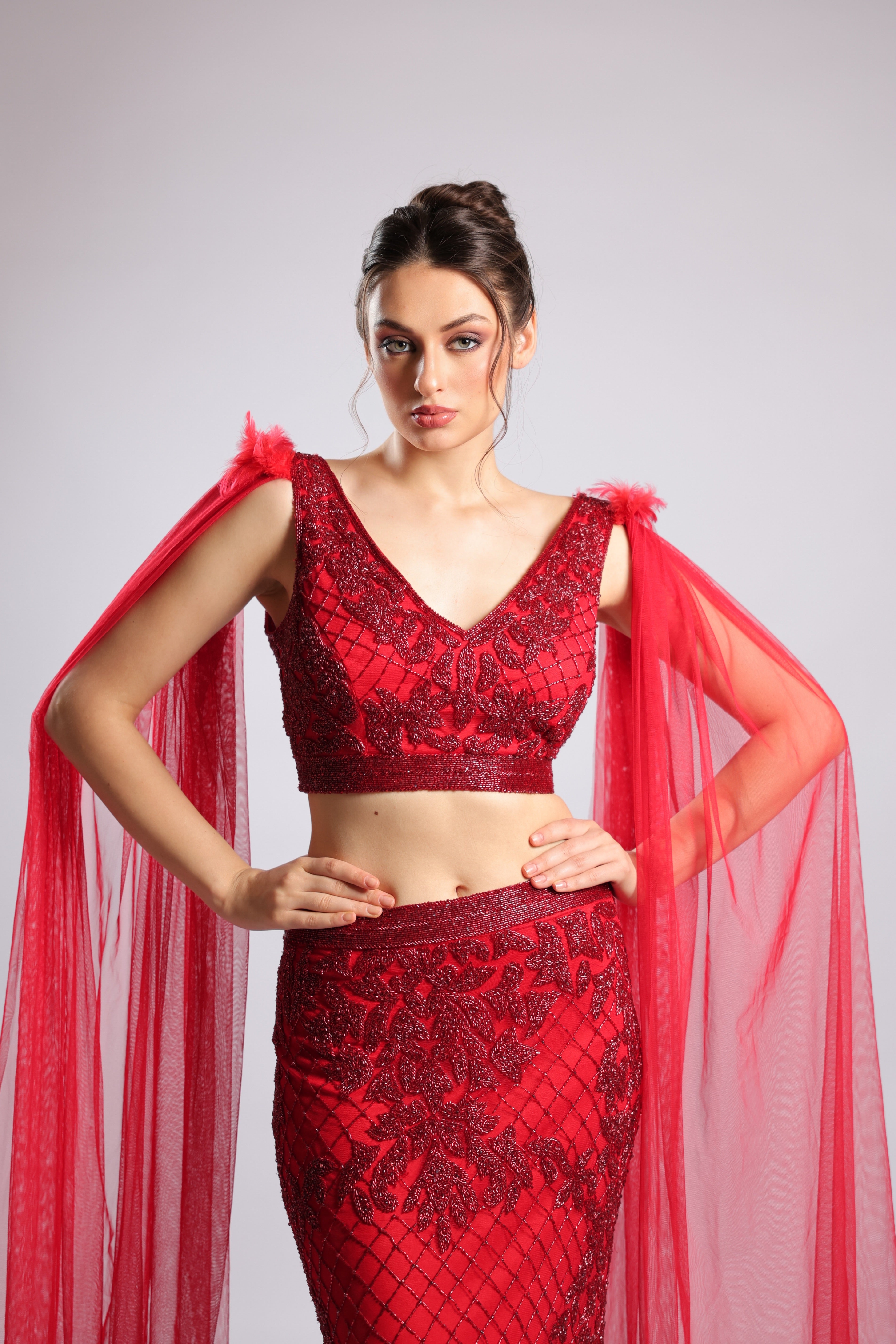Red Net Lehenga Choli