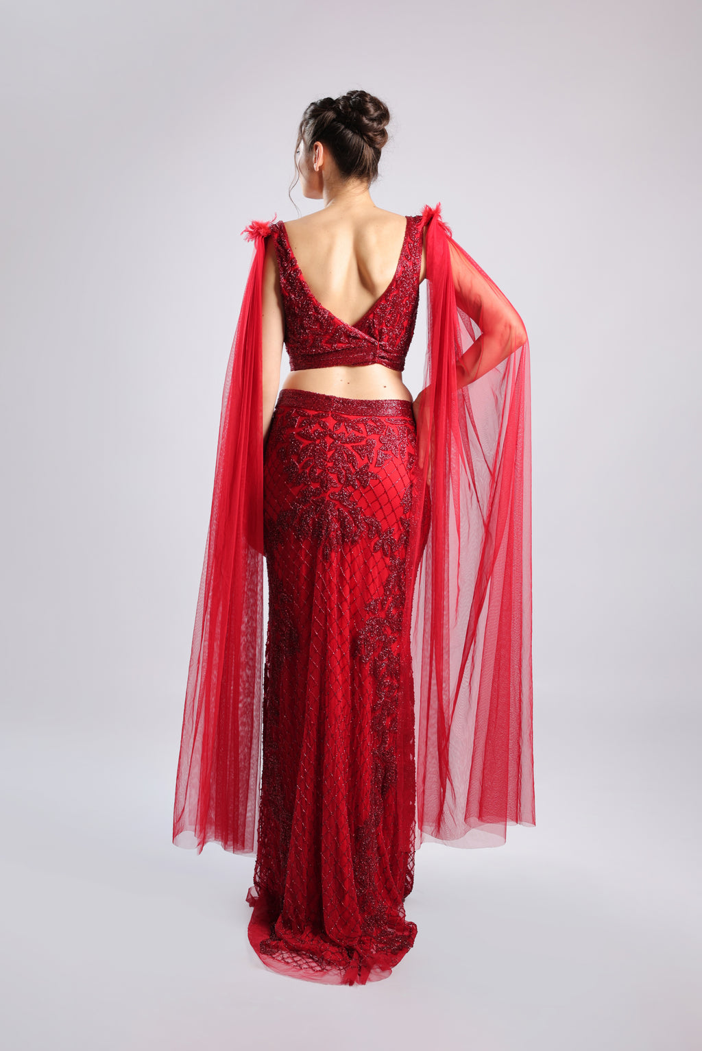 Red Net Lehenga Choli