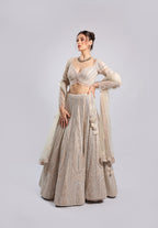 Ivory Net Lehenga Choli