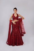 Mahroon Net Lehenga Choli