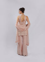 Pink Chiffon Rm Suit
